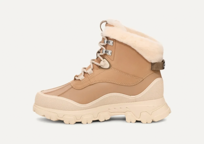 Adirondack Meridian Hiker