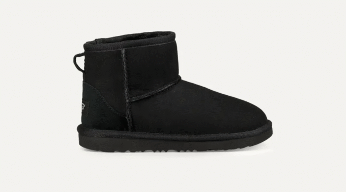 Classic II Mini Laars