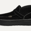 Hayden-riem