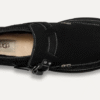 Hayden-riem
